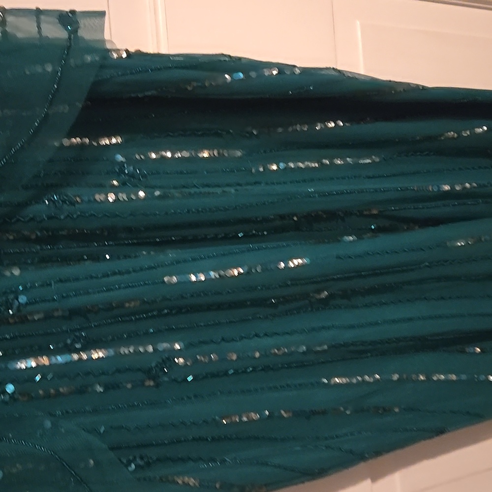Adrianna Papell gown, size 12 - Picture 5 of 5